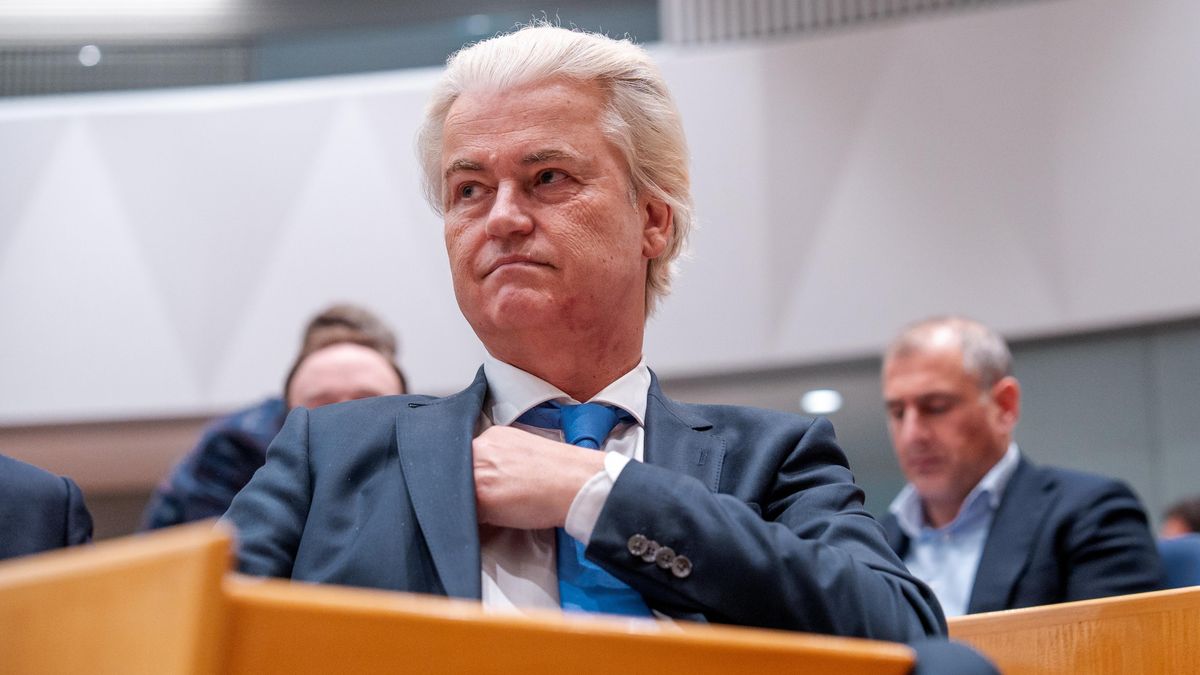 Volební pomáda pro Geerta Wilderse